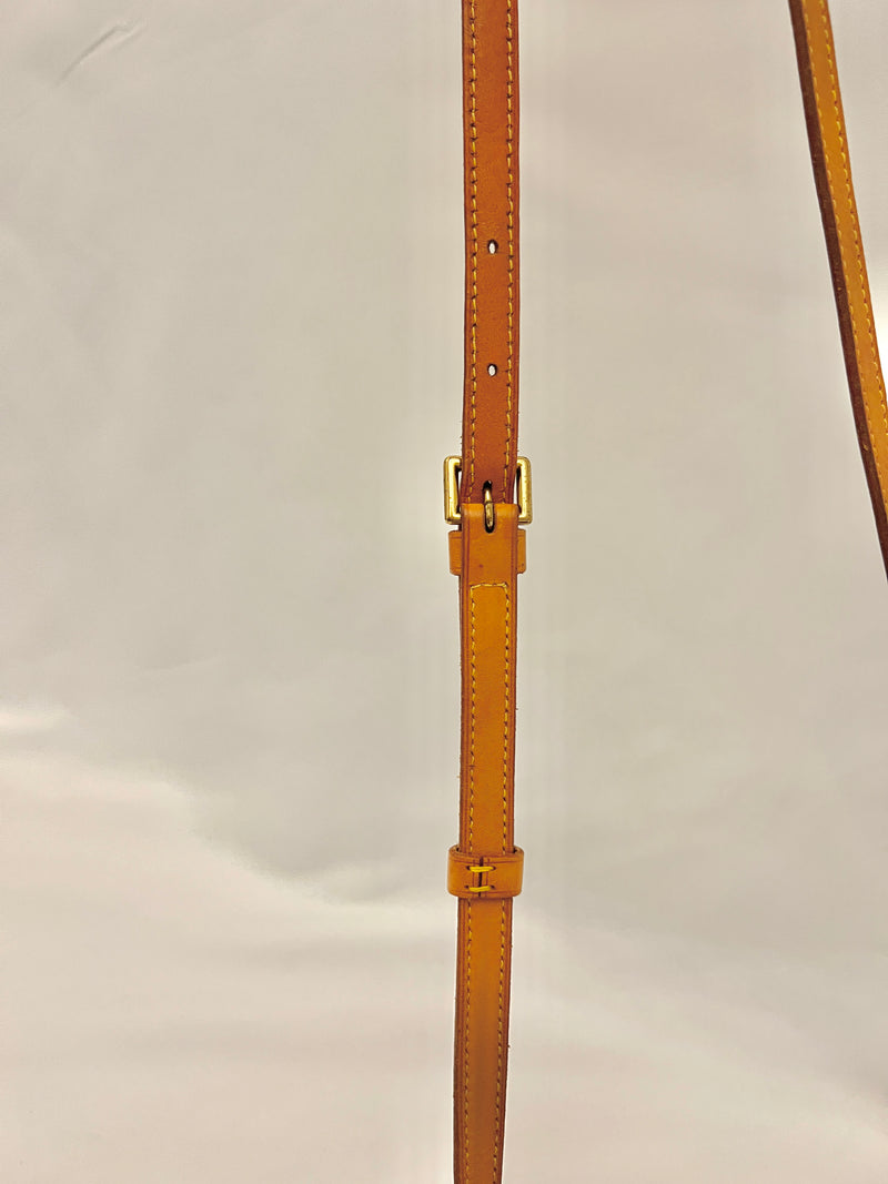 Louis Vuitton Monogram Saint Cloud MM Crossbody