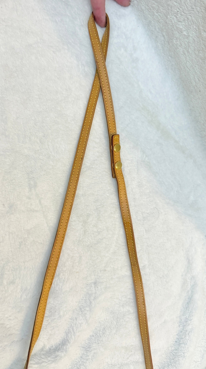 Louis Vuitton Monogram Pochette Twin GM Crossbody