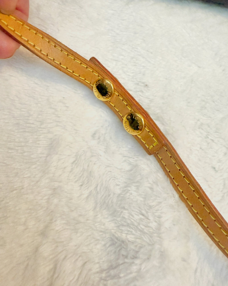 Louis Vuitton Monogram Pochette Twin GM Crossbody